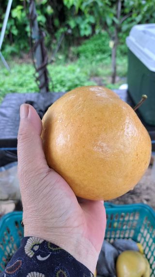 주윤발이님의 자유주제 · 자유게시판 작성글 사진