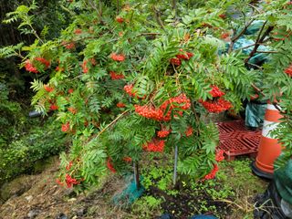 체리 김성자님의 자유주제 · 사진전 작성글 사진