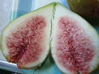 평강님의 자유주제 · 자유게시판 작성글 사진