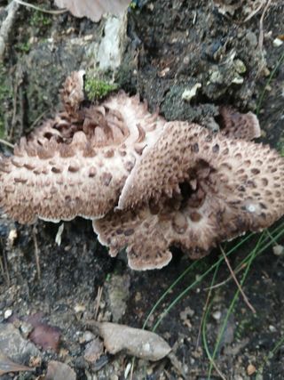 879412님의 자유주제 · 사진전 작성글 사진