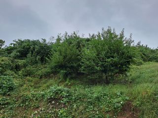 pyonngzz님의 자유주제 · 사진전 작성글 사진