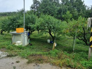 박성호(한복)님의 자유주제 · 자유게시판 작성글 사진