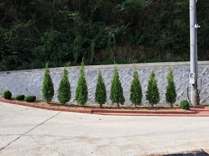 권영섭님의 장터 판매 상품 [킹오브브라반트 2m] 첨부 사진