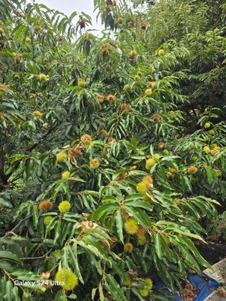 소병찬님의 자유주제 · 자유게시판 작성글 사진