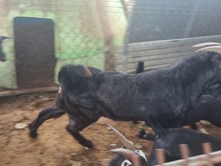 원인호님의 작성글 사진