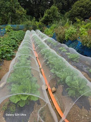 소병찬님의 자유주제 · 자유게시판 작성글 사진