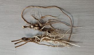 소학도토리님의 자유주제 · 사진전 작성글 사진