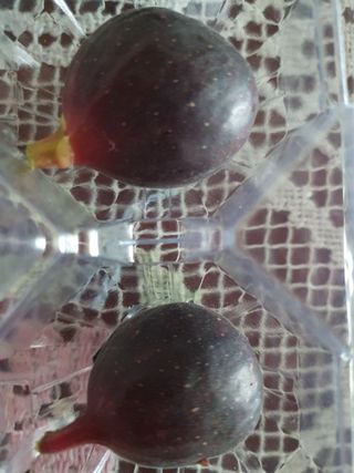 평강님의 자유주제 · 자유게시판 작성글 사진