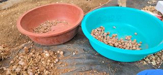 이종록님의 자유주제 · 자유게시판 작성글 사진