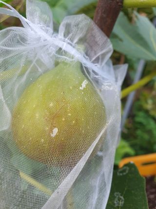 평강님의 자유주제 · 자유게시판 작성글 사진