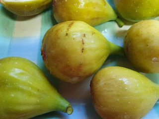 평강님의 자유주제 · 자유게시판 작성글 사진