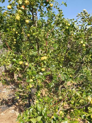 평강님의 자유주제 · 자유게시판 작성글 사진