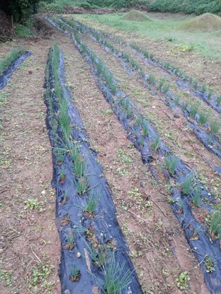 조동원님의 자유주제 · 자유게시판 작성글 사진