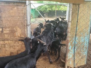 원인호님의 자유주제 · 자유게시판 작성글 사진