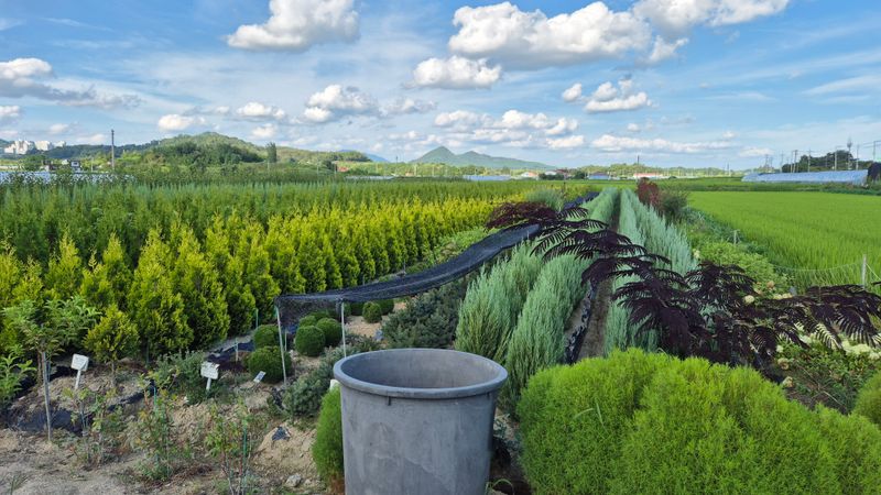 권영섭님의 장터 판매 상품 [블루아이스 2m] 첨부 사진