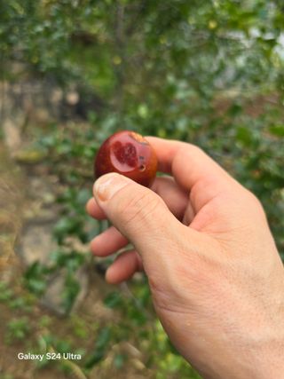 소병찬님의 자유주제 · 자유게시판 작성글 사진