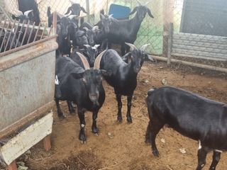 원인호님의 자유주제 · 자유게시판 작성글 사진