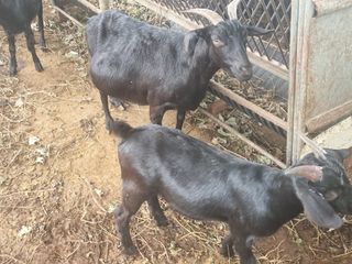 원인호님의 작성글 사진