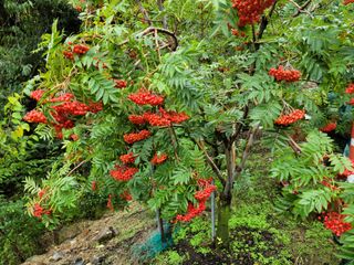 체리 김성자님의 자유주제 · 사진전 작성글 사진