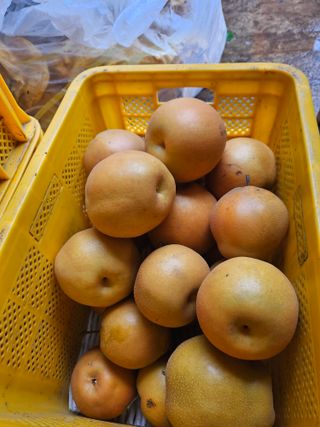 조영민님의 자유주제 · 자유게시판 작성글 사진