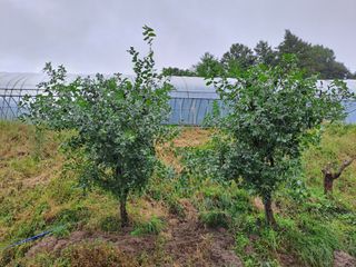 pyonngzz님의 자유주제 · 사진전 작성글 사진