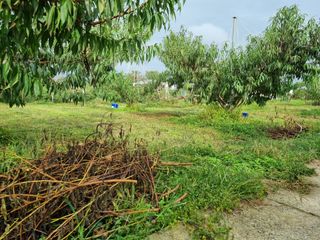 박성호(한복)님의 자유주제 · 자유게시판 작성글 사진