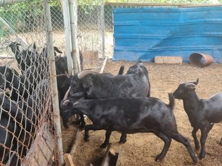 원인호님의 자유주제 · 자유게시판 작성글 사진