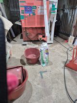 팜모닝 자유주제·자유게시판 게시글 이미지