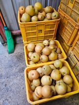 팜모닝 자유주제·자유게시판 게시글 이미지