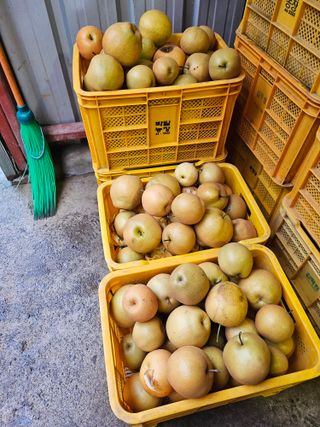 조영민님의 자유주제 · 자유게시판 작성글 사진