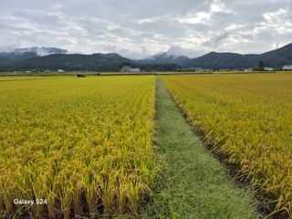 사천시향촌동 돼지띠님의 자유주제 · 자유게시판 작성글 사진