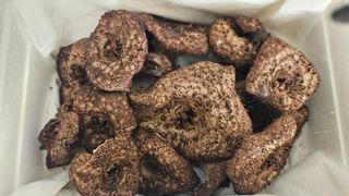 강원송이님의 작성글 사진