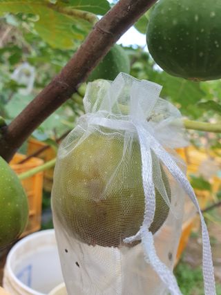 평강님의 자유주제 · 자유게시판 작성글 사진