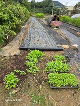 팜모닝 자유주제·자유게시판 게시글 이미지