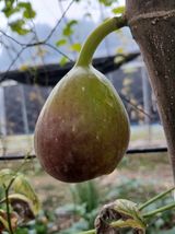 팜모닝 자유주제·사진전 게시글 이미지