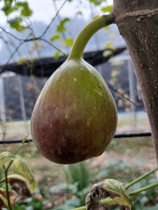 879412님의 자유주제 · 사진전 작성글 사진