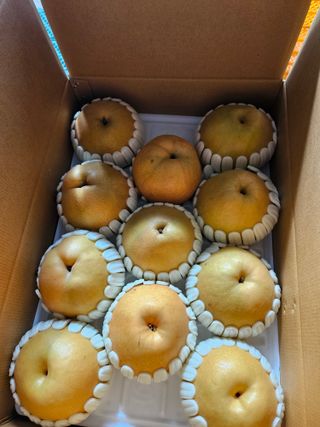 조영민님의 자유주제 · 자유게시판 작성글 사진