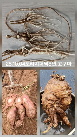 소학도토리님의 자유주제 · 사진전 작성글 사진