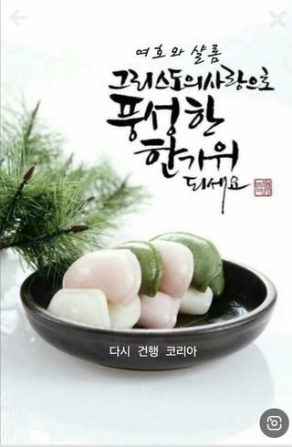 은혜농원(사과농사)님의 자유주제 · 자유게시판 작성글 사진