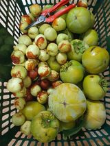 팜모닝 자유주제·자유게시판 게시글 이미지