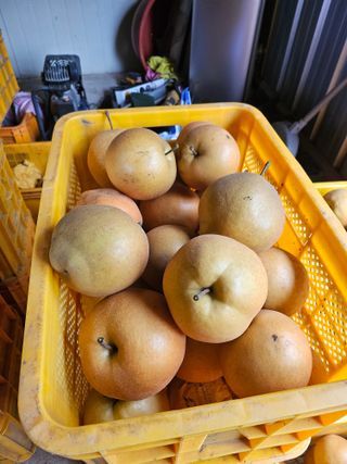 조영민님의 자유주제 · 자유게시판 작성글 사진