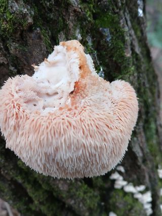 879412님의 자유주제 · 사진전 작성글 사진