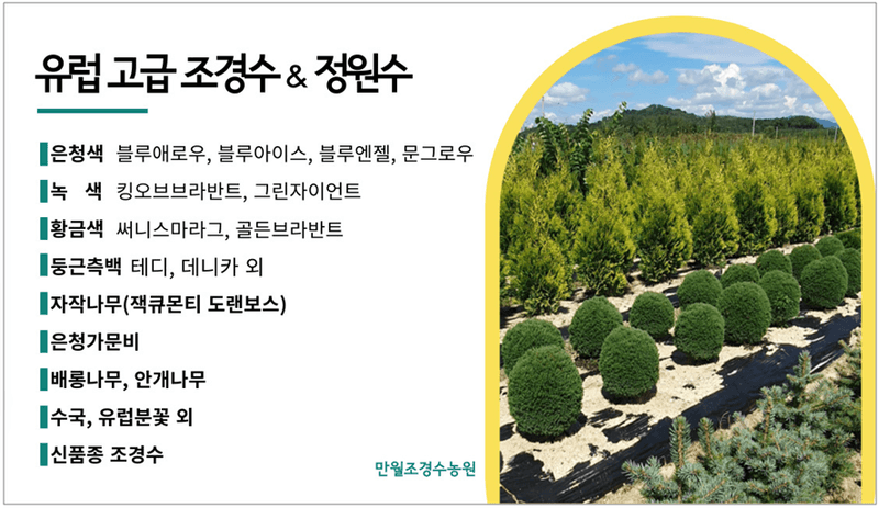 권영섭님의 장터 판매 상품 [블루애로우 1.8m] 첨부 사진