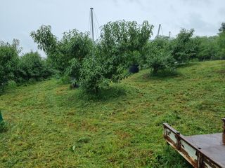 박성호(한복)님의 자유주제 · 자유게시판 작성글 사진