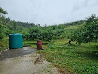 박성호(한복)님의 자유주제 · 자유게시판 작성글 사진