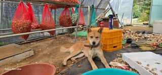 이종록님의 자유주제 · 자유게시판 작성글 사진