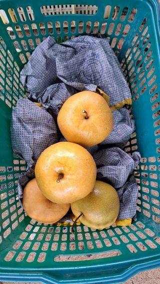 주윤발이님의 자유주제 · 자유게시판 작성글 사진