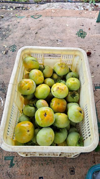 주윤발이님의 자유주제 · 자유게시판 작성글 사진