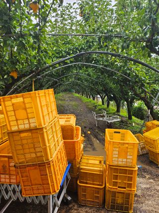 조영민님의 자유주제 · 자유게시판 작성글 사진