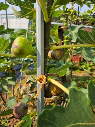 한호영님의 자유주제 · 자유게시판 작성글 사진